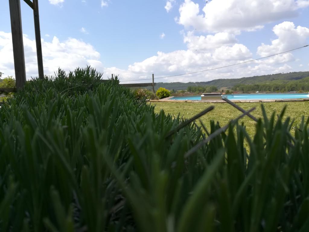 Villa La Guionie Montignac Lascaux エクステリア 写真